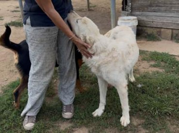 Chanel möchte zu Ihrer Familie gehören