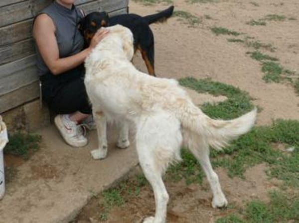 Chanel möchte zu Ihrer Familie gehören