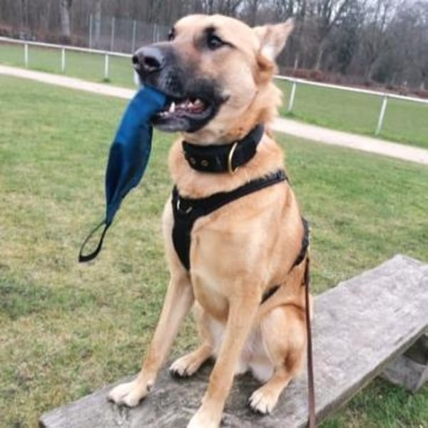 Pepe - NOTFALL braucht starke Menschen