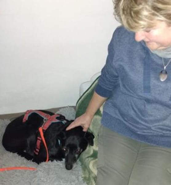 Bella8 sucht ein Zuhause