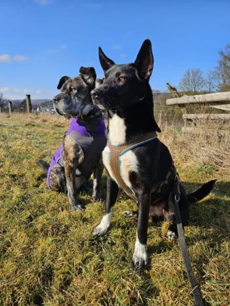 ❤Lucky -Gentleman im schwarzen Frack...