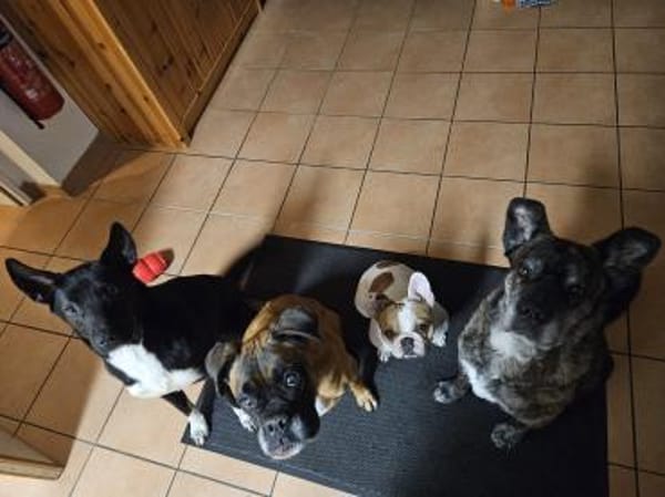 ❤Lucky -Gentleman im schwarzen Frack...