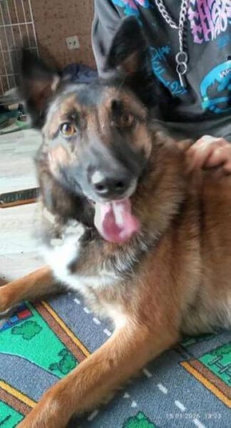 LOTTE sucht Körbchen