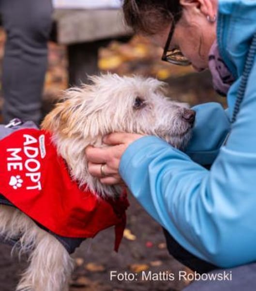 Turpi1 sucht einen Gnadenplatz