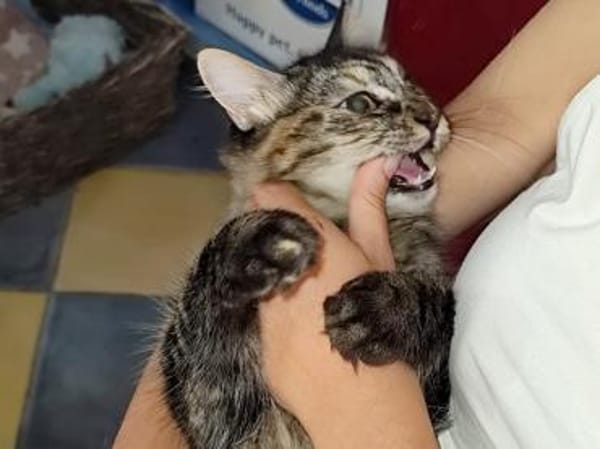 Sehbehinderte Kiraz sucht ihre Familie