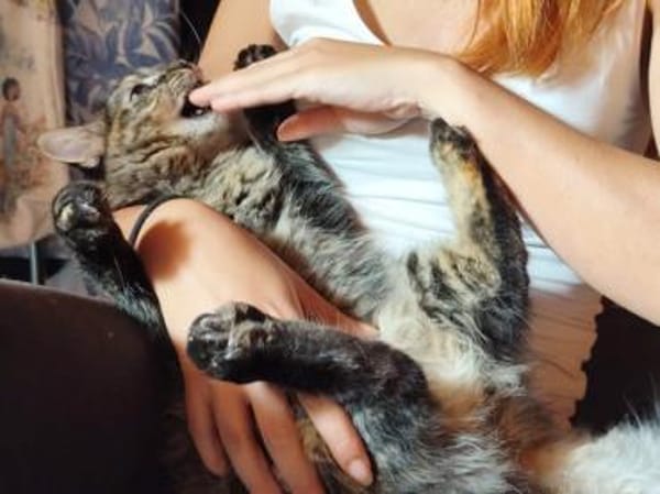 Sehbehinderte Kiraz sucht ihre Familie