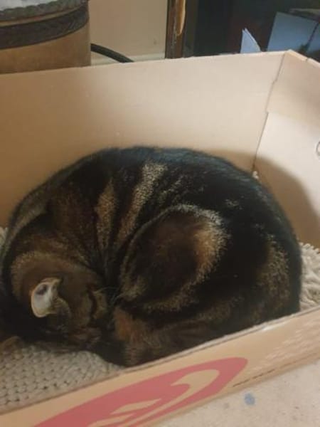 süße Girls Scarlett und Jacky in Lorch