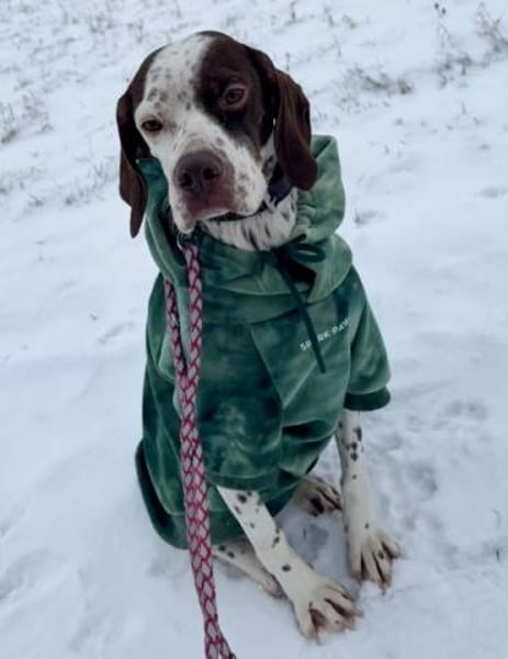 Acira, geb. ca. 04/2023, 67735 Mehlbach