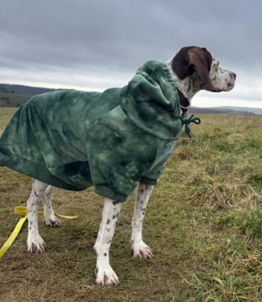 Acira, geb. ca. 04/2023, 67735 Mehlbach