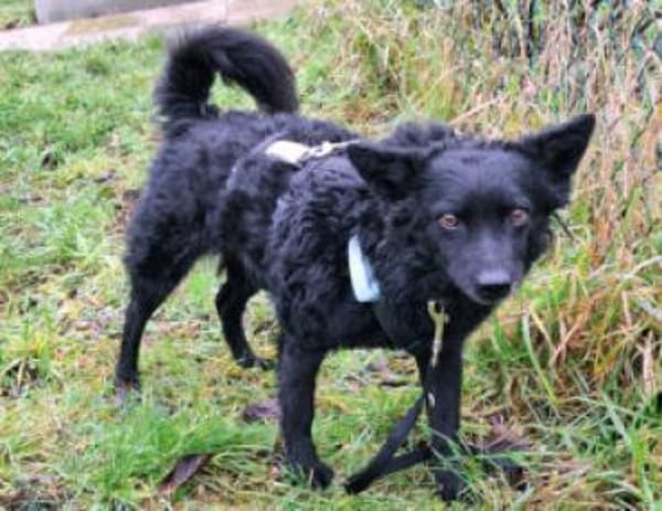 MARENA - liebenswert&intelligent