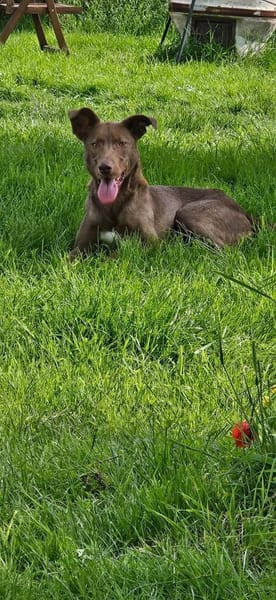 HARRY - wir üben, bis es perfekt ist