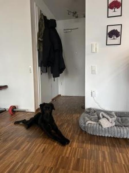 Menschenbezogene Eagle sucht ihr Home