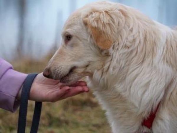 Quo möchte Sie durchs Leben begleiten
