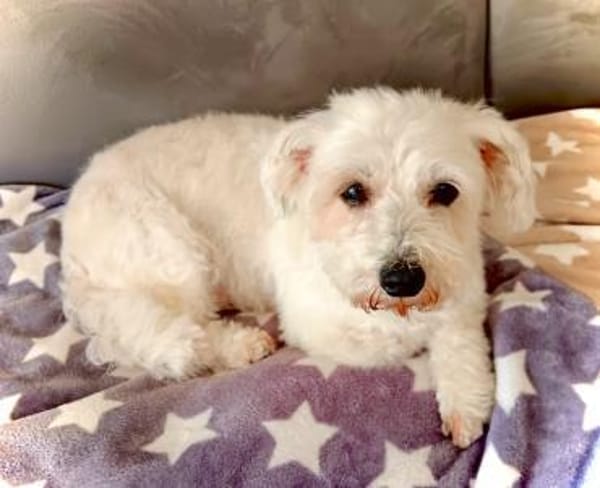 Melanie in 41363 Jüchen