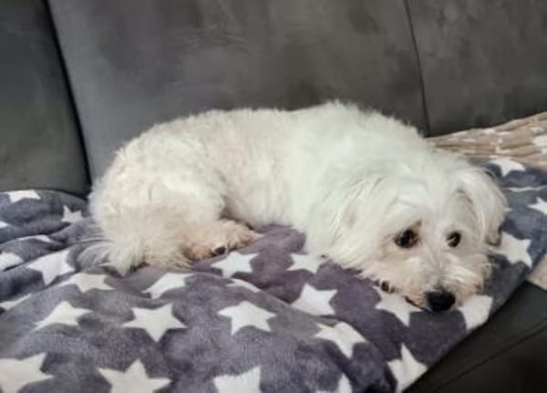 Melanie in 41363 Jüchen