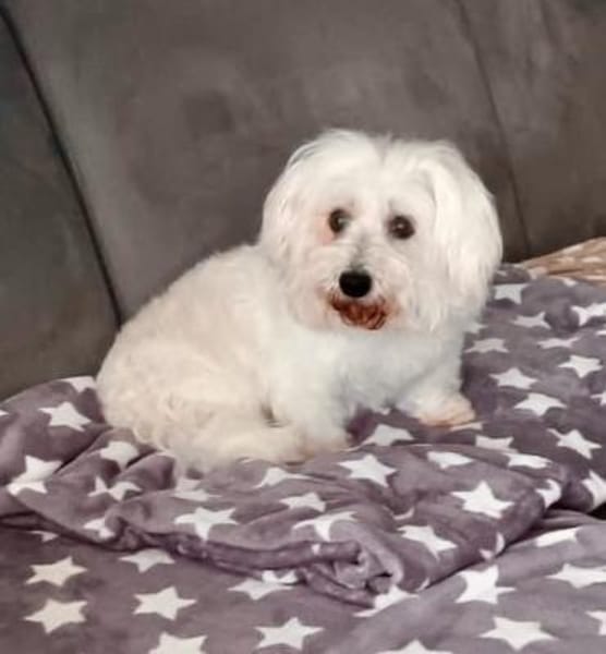 Melanie in 41363 Jüchen