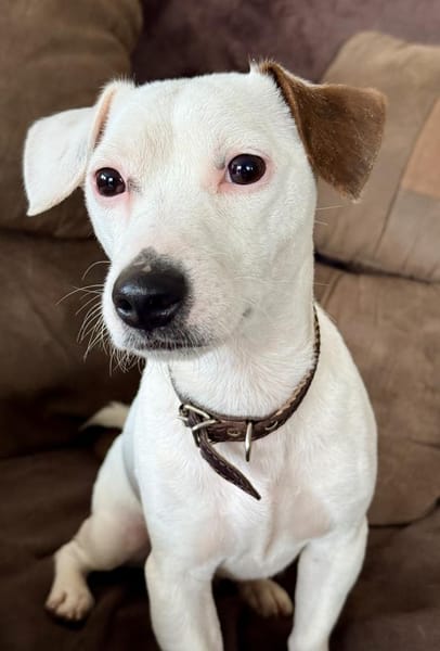 Rudi zeig mir wie gut die Menschen sind