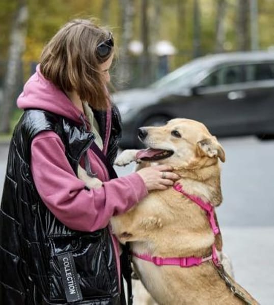 Lucy,  sanft und freundlich