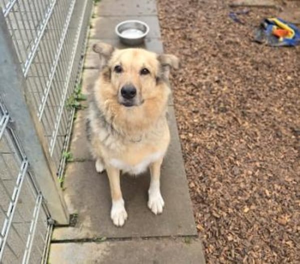 Liebevolle Alicia sucht ihre Familie