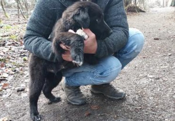 Süßer Baxter will mit dir durchstarten