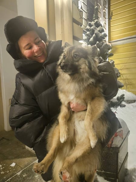 Maurice, ein toller Familienhund