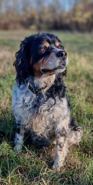 💕Fariba💕 sucht ihre Menschen💕