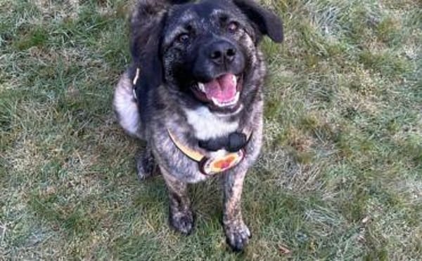 Die hübsche Ewa sucht ihr Zuhause!