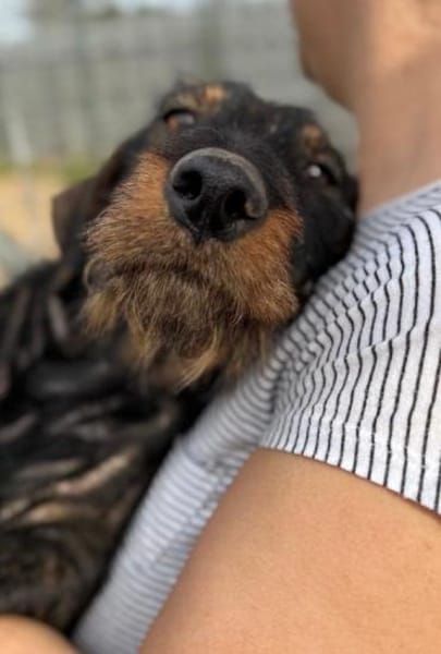 Paula -nur Paten gewünscht