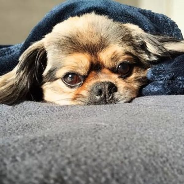 Maik - braucht Sicherheit