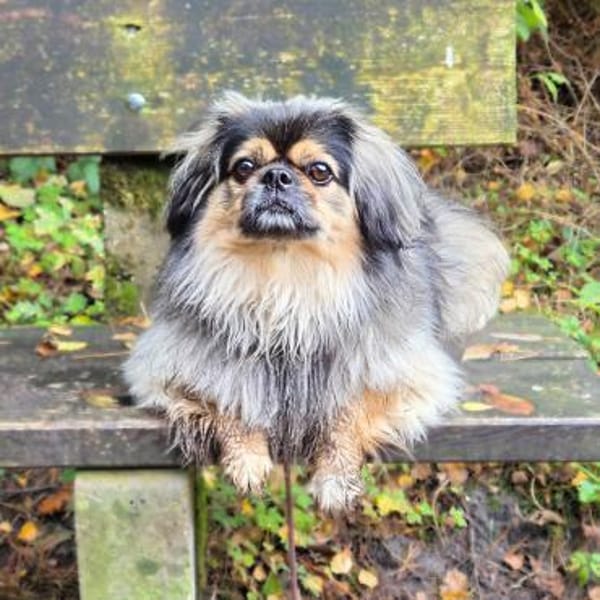 Maik - braucht Sicherheit