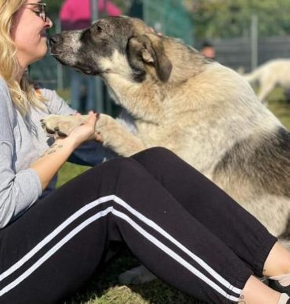 Pechino sucht Patenschaft