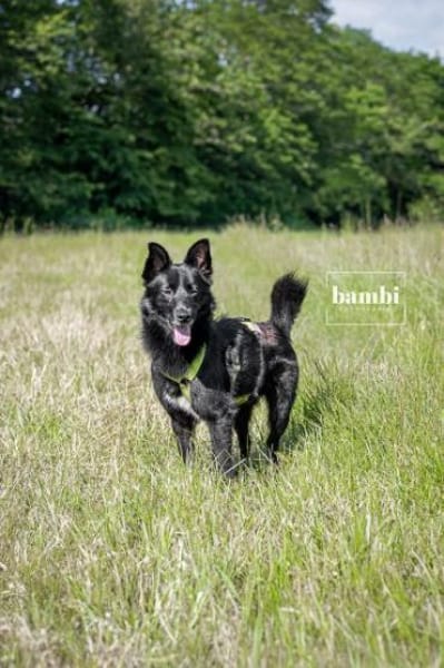 FINO -lebenslustig & aktiv-