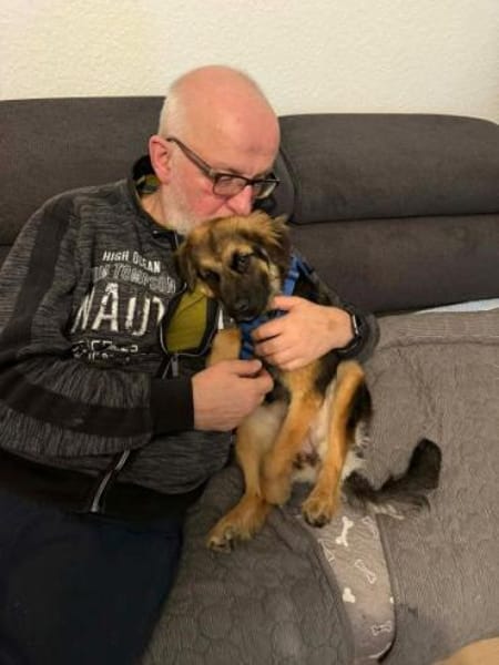 CAROL -Anhänglicher, kleiner Wirbelwind-