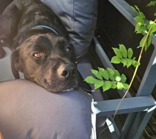 DJANGO - plötzlich brauche ich Hilfe