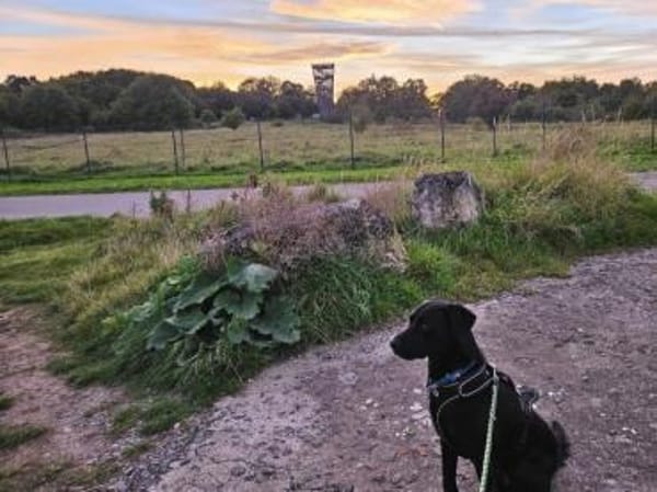 DJANGO - plötzlich brauche ich Hilfe