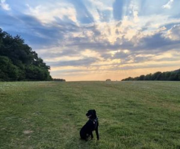 DJANGO - plötzlich brauche ich Hilfe