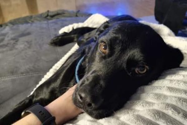 DJANGO - plötzlich brauche ich Hilfe