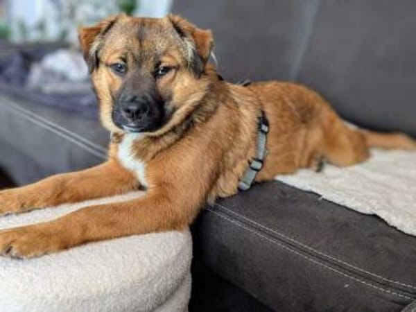 MUSTI * sportlicher Wanderbegleiter