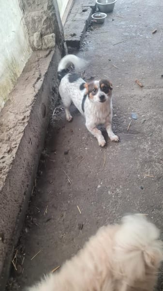 Süßer Yoshi wartet auf Dich