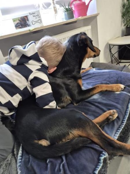 💕Maya💕 sucht sportliches Zuhause