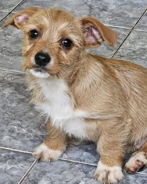 Toulouse, klein, freundlich und offen