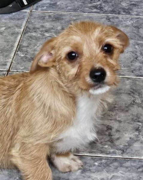 Toulouse, klein, freundlich und offen