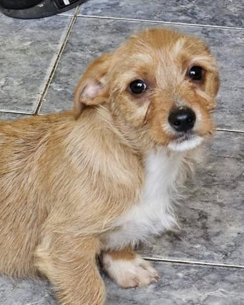 Toulouse, klein, freundlich und offen