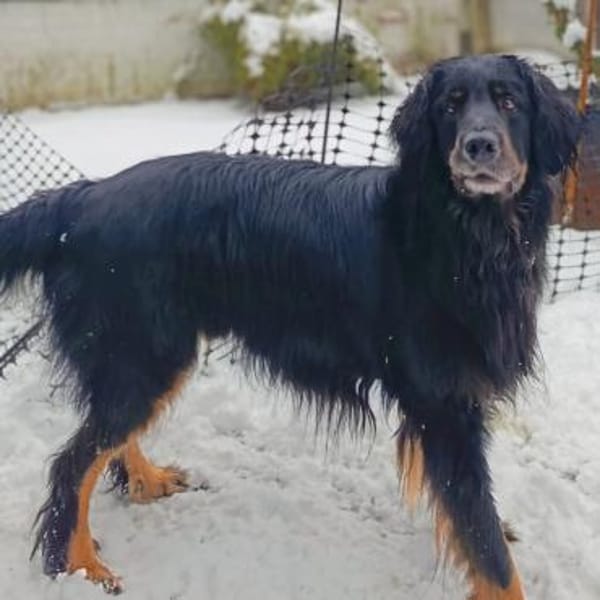 Arko - ländl. Zuhause,Garten wäre gut