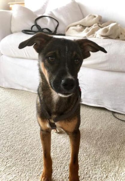 Arnaud ist ein pfiffiger, lieber Kerl!