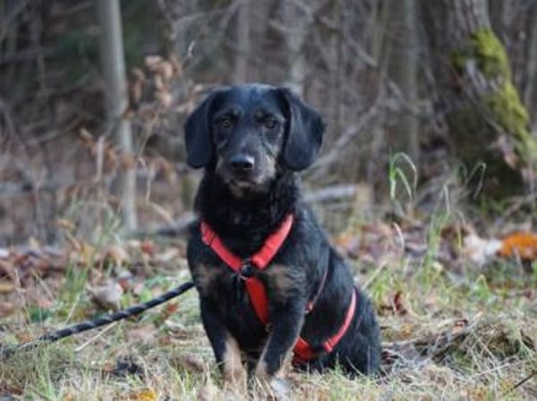 Thora hofft auf ihre neue Chance