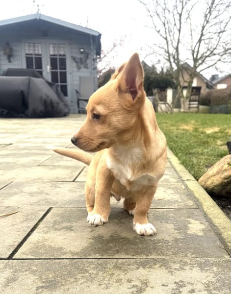 Luka ein tolles Kerlchen