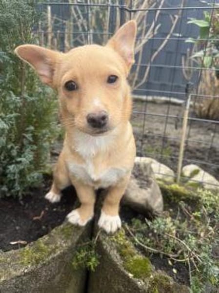 Luka ein tolles Kerlchen