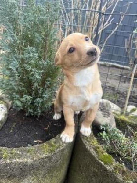 Luka ein tolles Kerlchen