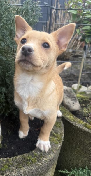 Luka ein tolles Kerlchen